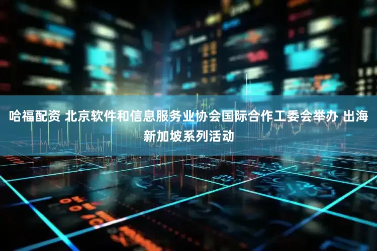 哈福配资 北京软件和信息服务业协会国际合作工委会举办 出海新加坡系列活动